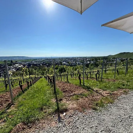 Am Weinberg *