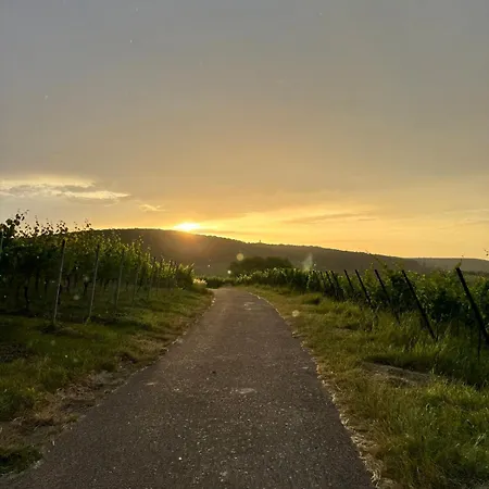 Am Weinberg * Korb