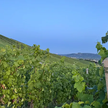 Am Weinberg