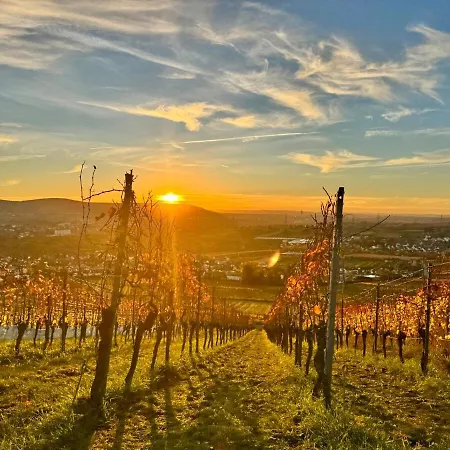 Am Weinberg